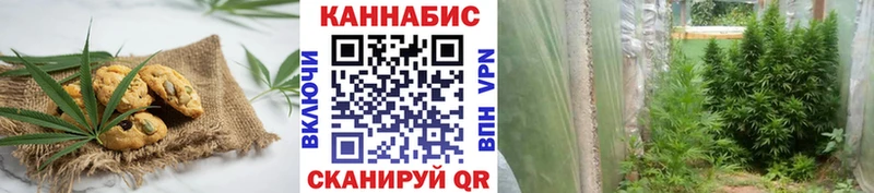 Cannafood марихуана  Барыш 