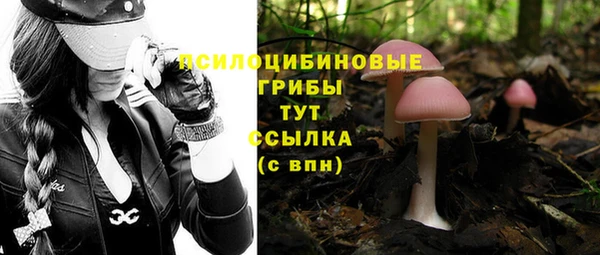 марки nbome Абаза