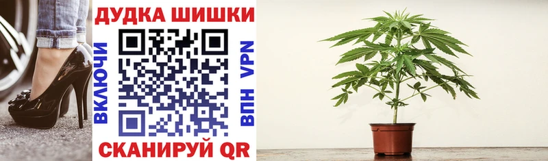 МАРИХУАНА план  blacksprut ССЫЛКА  Барыш  купить наркоту 